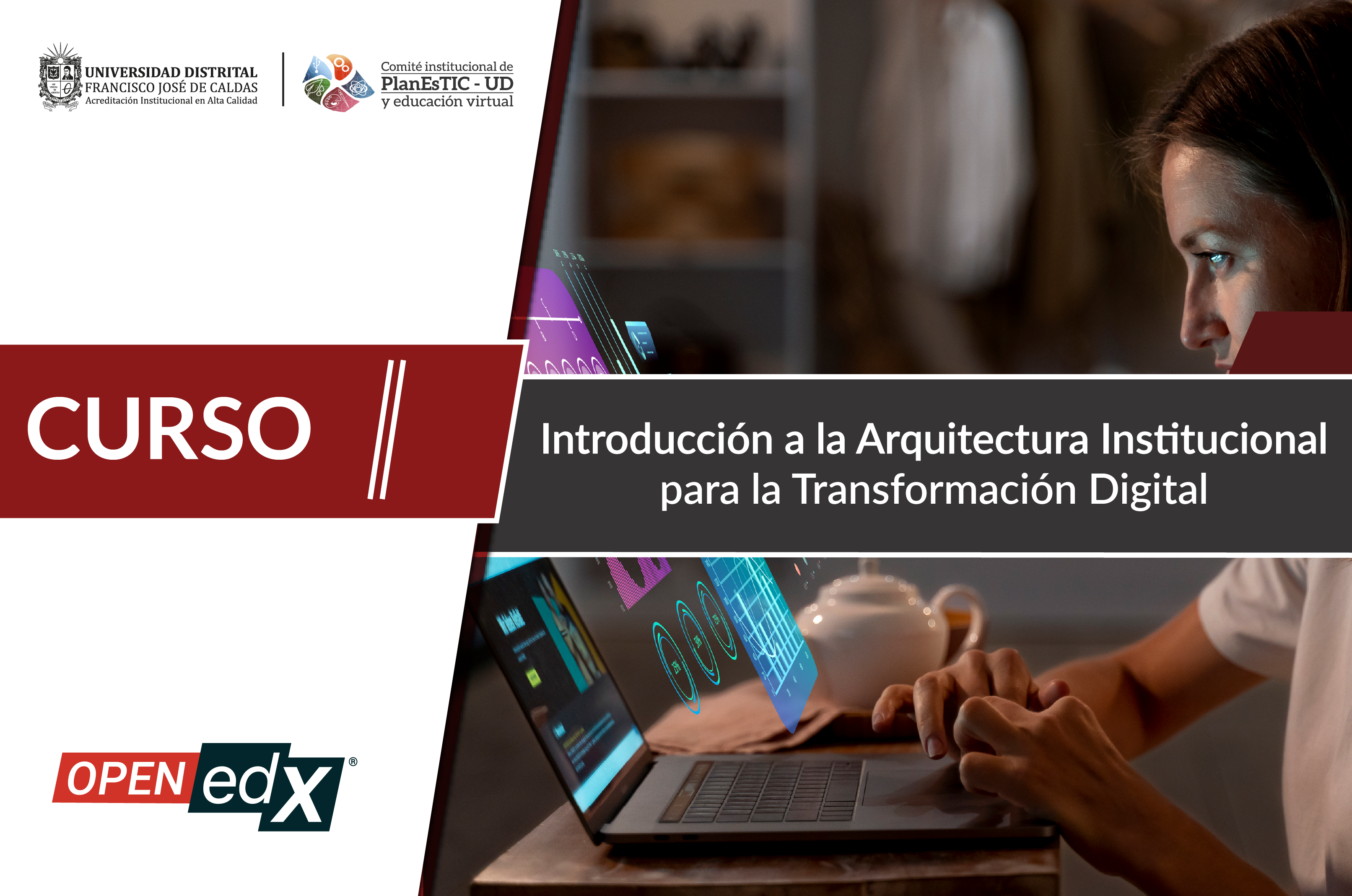 Introducción a la Arquitectura Institucional para la Transformación Digital OATI001H16